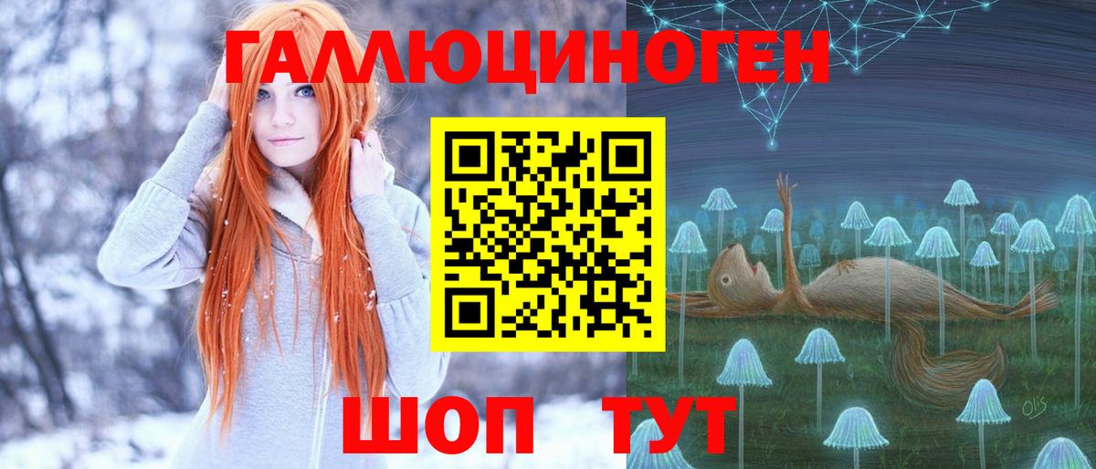 Медногорск  Галлюциногенные грибы Cubensis  Вход с VPN 
